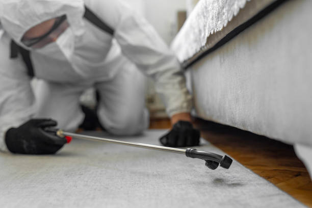 Professional Cockroach Control technician working in Larose, LA