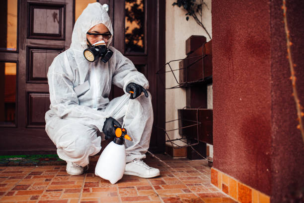 Reliable Cockroach Control contractor in Larose, LA by Nex Pest Control